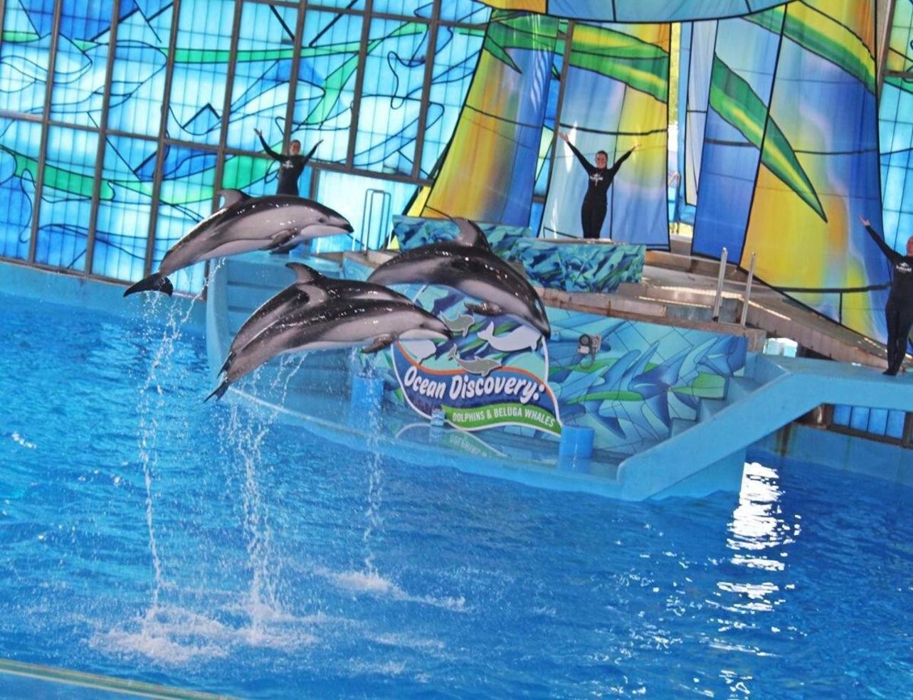 Gameroom, Bbq & Hot-Tub By Lackland & Seaworld San Antonio Luaran gambar